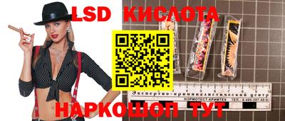 бошки Гай