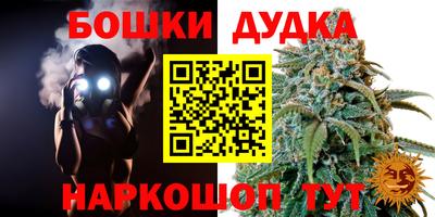 дживик Гатчина