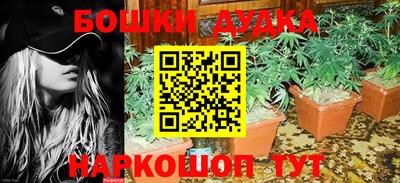 бошки Гай