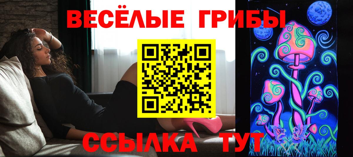 Псилоцибиновые грибы ЛСД  наркотики  Светлоград  Вход с VPN  Галлюциногенные грибы Psilocybine cubensis 